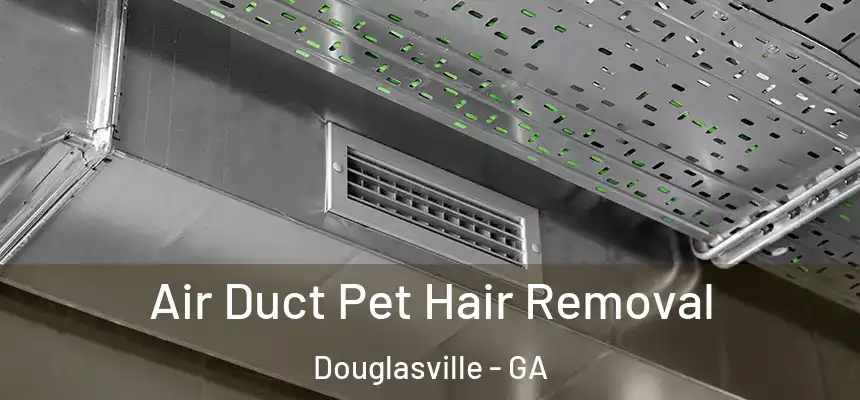  Air Duct Pet Hair Removal Douglasville - GA