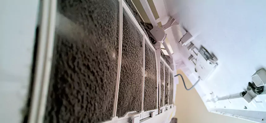 Preventive Air Duct Bacteria Removal in Douglasville