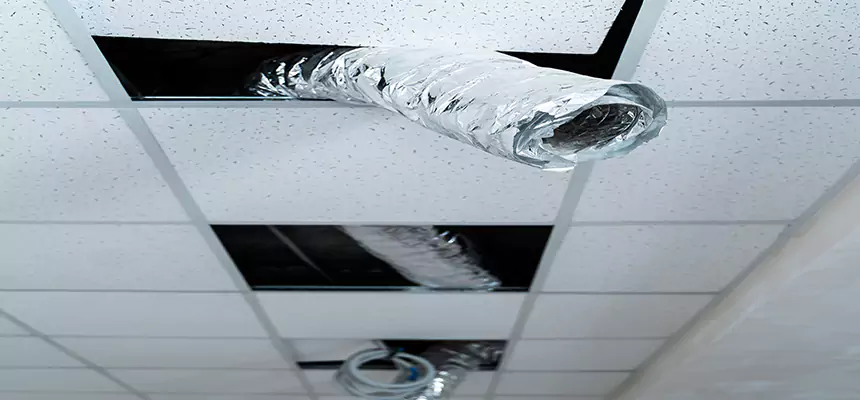 Our Air Duct Pet Hair Removal Services in Douglasville, GA