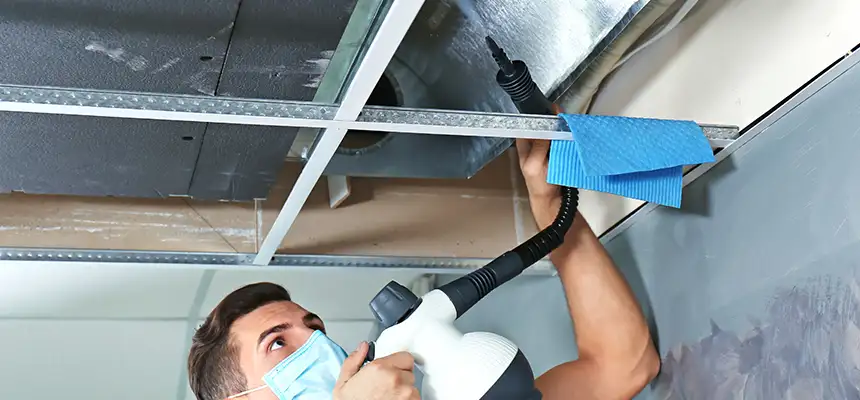 Our Air Duct Rodent Removal Services in Douglasville, GA