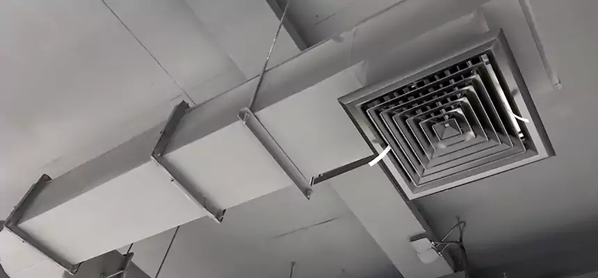 Our Pest Removal From Ducts Services in Douglasville, GA