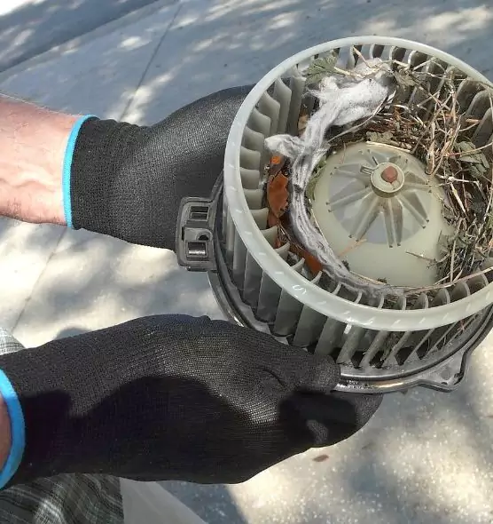 About Air Duct Rat Removal in Douglasville, GA