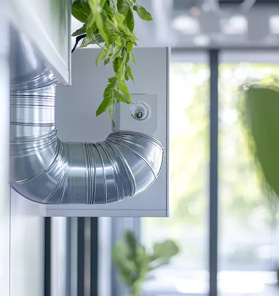 Professional Eco-Friendly Duct Cleaning Services in Douglasville, GA